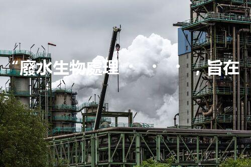 “廢水生物處理，旨在凈化水源，守護(hù)碧水藍(lán)天”